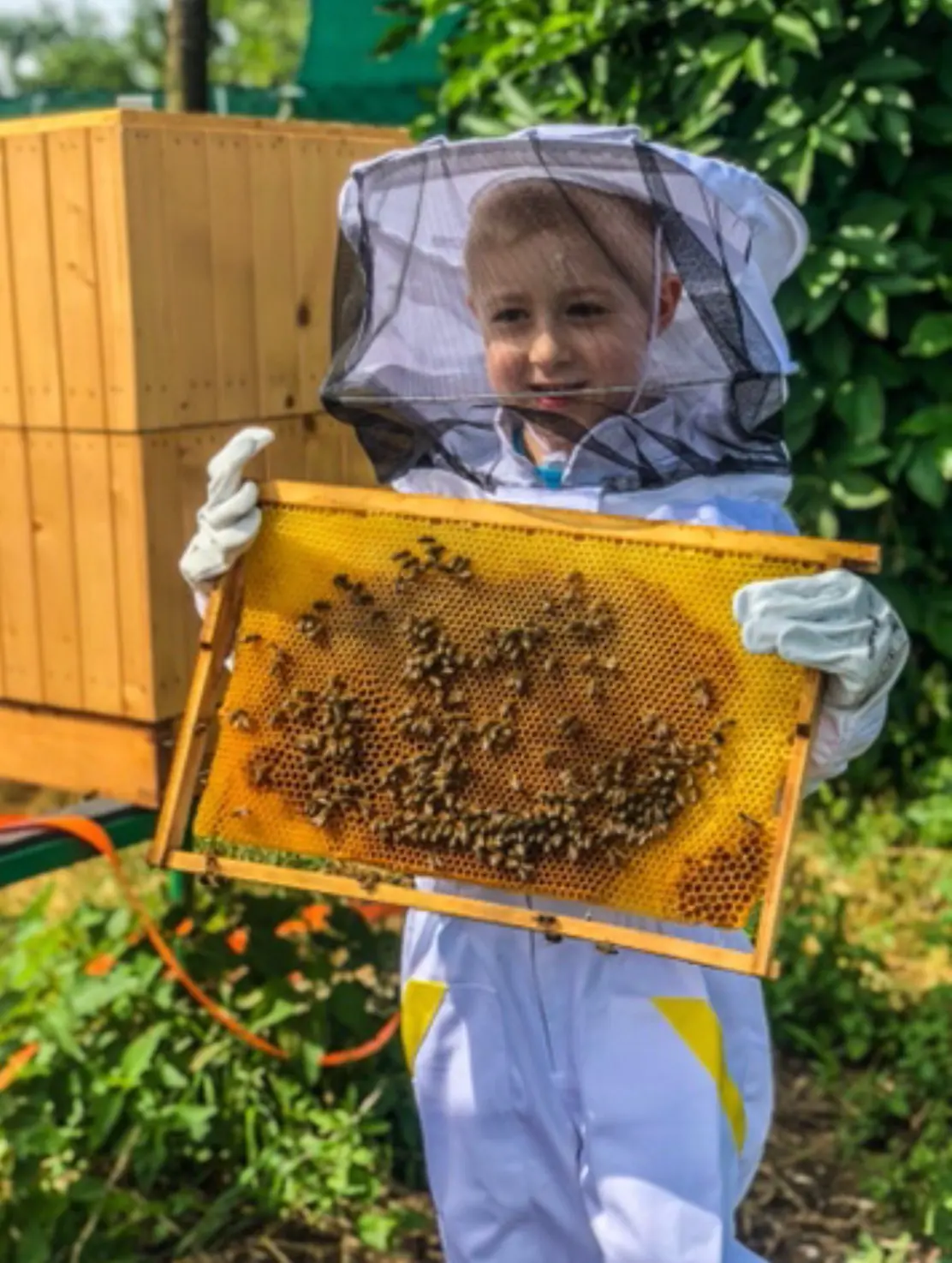 Rodinné včelárenie vo Včelej farme Kollár